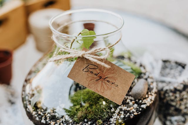 tanaman dengan kartu nama